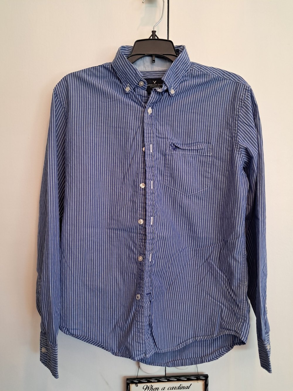 American Eagle Outfitters Navy and White Striped Button-Down Shirt